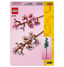 40725 Kirschblüten