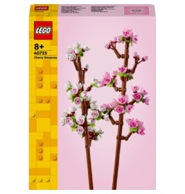 40725 Kirschblüten