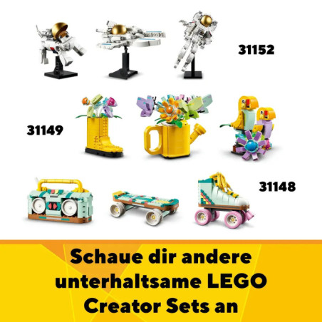 31150 Tiersafari