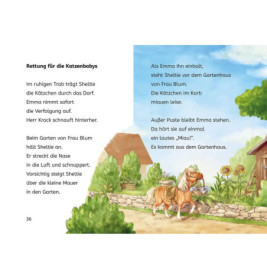 Bücherhelden 1.Kl. Sheltie und die Katzenbabies