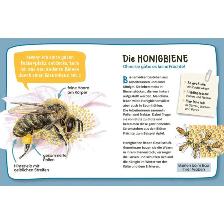 Mein 1. Naturführer Was lebt im Garten?