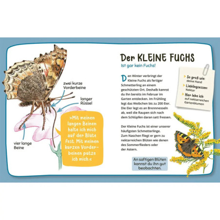 Mein 1. Naturführer Was lebt im Garten?