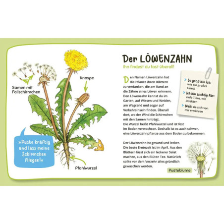 Mein 1. Naturführer Was lebt im Garten?