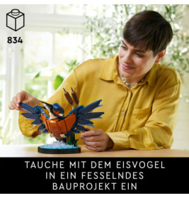10331 Eisvogel