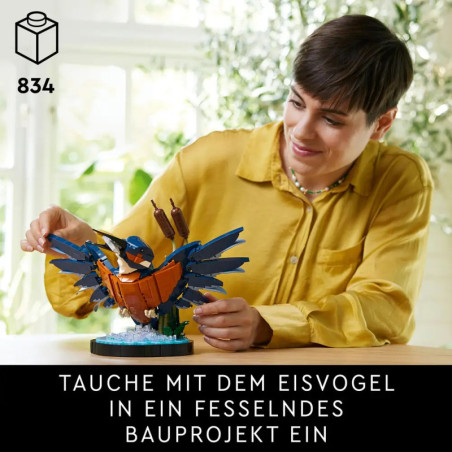 10331 Eisvogel