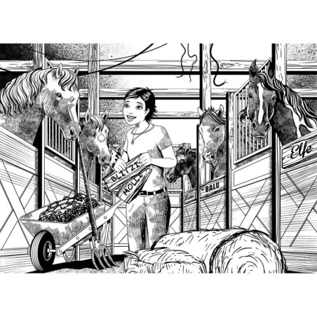 !!! Rätsel der schwarzen Pferde !!! Rätsel der schwarzen Pferde