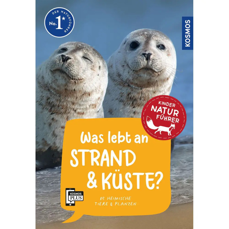 Zwei Robben am Strand, Buchtitel auf Deutsch über Küsten- und Strandtiere. Zwei Robben am Strand, Buchtitel auf Deutsch über Küsten- und Strandtiere.