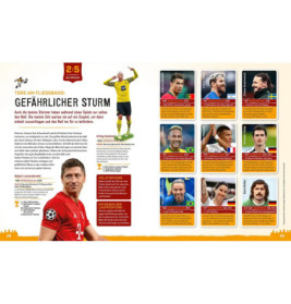 Fussball- Alles zur WM