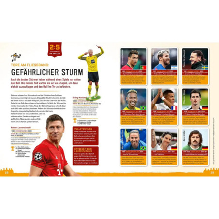 Fussball- Alles zur WM Fussball- Alles zur WM