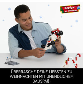 10330 McLaren MP4 4 & Ayrton Senna