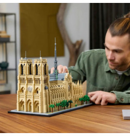 21061 Notre-Dame de Paris