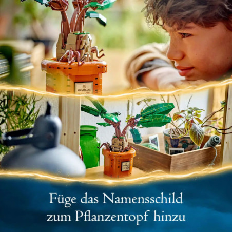 76433 Zaubertrankpflanze: Alraune