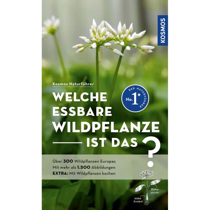 Buchcover mit Bärlauchblüten und dem Titel Welche essbare Wildpflanze ist das? in weißer Fettschrift.
