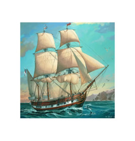 Ein großes Segelschiff fährt mit vollen Segeln auf blauem Meer unter hellem Himmel und umgeben von Möwen.