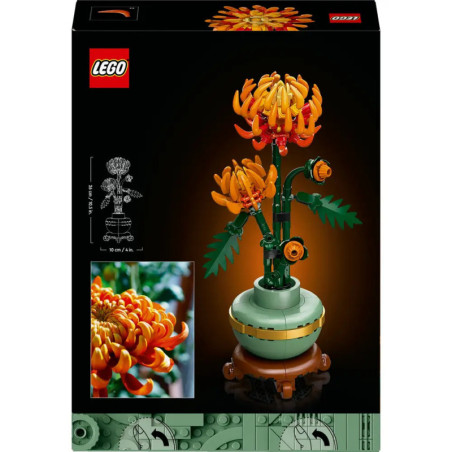 10368 Chrysantheme