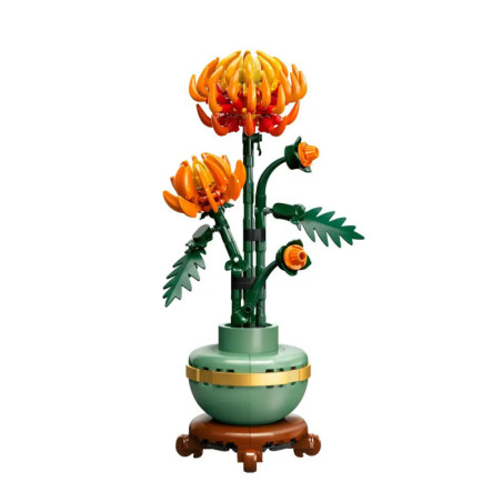 10368 Chrysantheme