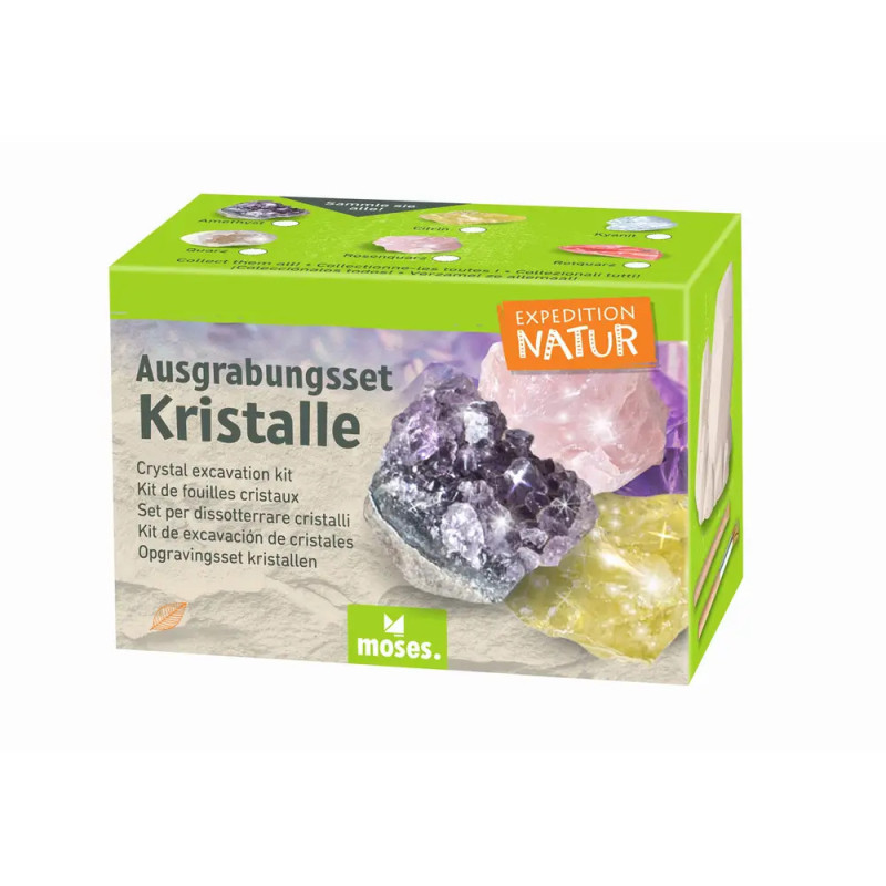 Grüne Box mit Aufschrift Ausgrabungsset Kristalle, abgebildet sind Kristalle und Ausgrabungswerkzeuge.