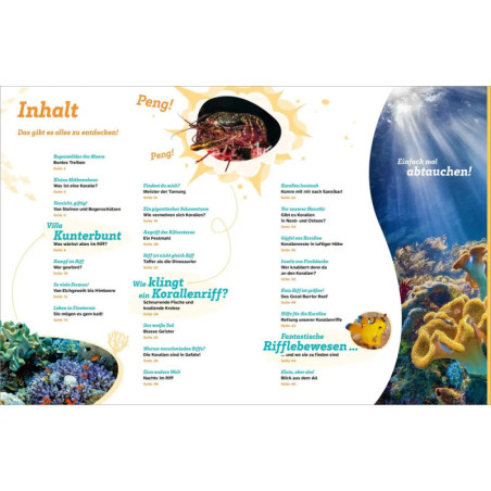 WAS IST WAS Korallenriff Mitten im Gewusel