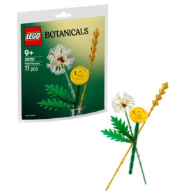 LEGO Botanicals 30701 Feldblumen