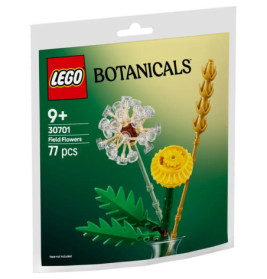 LEGO Botanicals 30701 Feldblumen