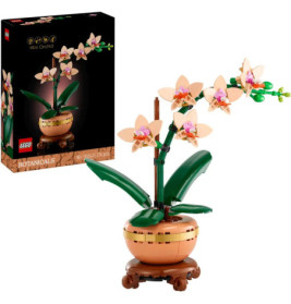 LEGO Botanisches Set mit Mini-Orchidee im Topf neben der Verpackung.