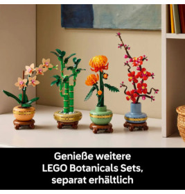 LEGO Botanicals 10343 Mini-Orchidee