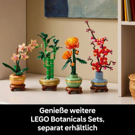 LEGO Botanicals 10343 Mini-Orchidee