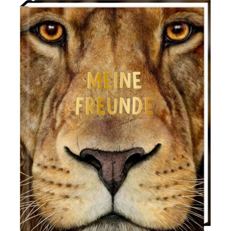 Nahaufnahme eines Löwengesichts mit goldenem MEINE FREUNDE auf dem Coppenrath Freundebuch Wilde Tiere Afrikas.