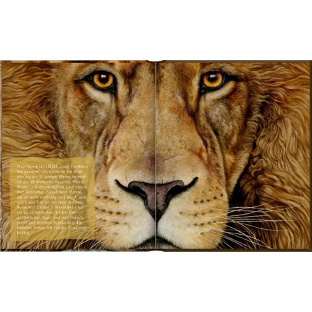 Freundebuch: Lebensgr.-Wilde Tiere Afrikas