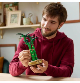 LEGO Botanicals 10344 Glücks-Bambus