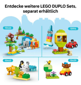 LEGO DUPLO Classic 10460 Bauplatte in Grün