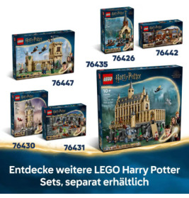 LEGO Harry Potter TM 76441 Schloss Hogwarts: Duellierclub