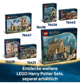 LEGO Harry Potter TM 76443 Hagrids und Harrys Motorradtour