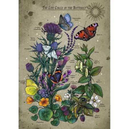 Puzzle Lifecircle Butterfly 1000 Teile