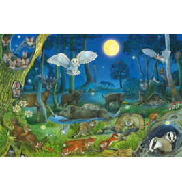 KIPU100T.Tiere nachts im Wald