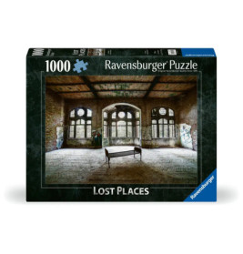 Ravensburger Puzzle mit 1000 Teilen: Verlasser, mit Graffiti bedeckter Raum und große Rundbogenfenster.