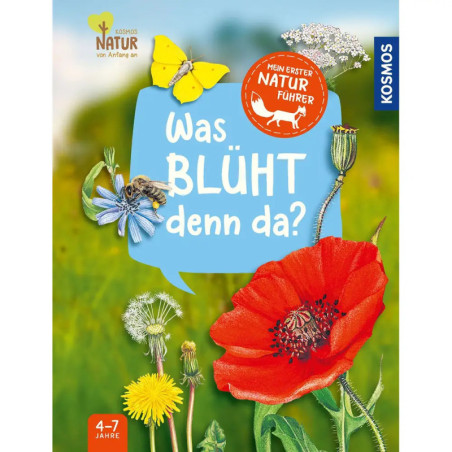 Kinderbuchcover mit Blumen, Schmetterling und dem deutschen Titel Was blüht denn da? auf blauem Hintergrund.
