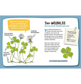 Mein 1. Naturführer Was blüht denn da?