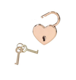 TOPModel Tagebuch mit Geheimst ift