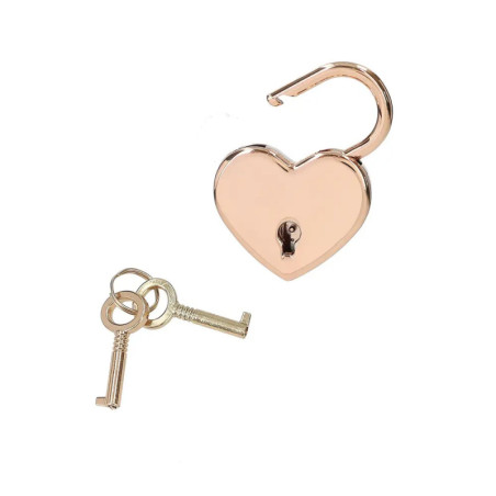 TOPModel Tagebuch mit Geheimst ift