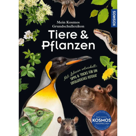Buchcover mit Tieren und Pflanzen auf schwarzem Hintergrund, Titel: Tiere & Pflanzen (auf Deutsch).