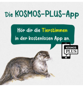 Kindernaturführer Was lebt an Bach und Teich