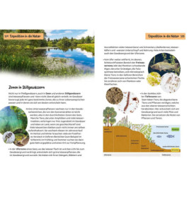 Kindernaturführer Was lebt an Bach und Teich