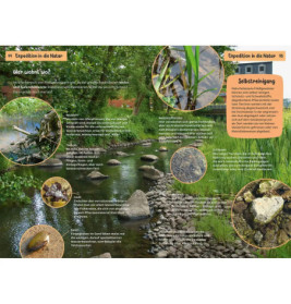 Kindernaturführer Was lebt an Bach und Teich