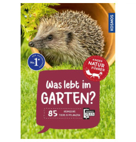 Ein Igel im Terrakottatopf auf Gras, dazu deutscher Text über Garten-Tiere und -Pflanzen für Kinder.