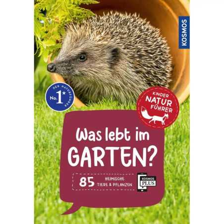 Ein Igel im Terrakottatopf auf Gras, dazu deutscher Text über Garten-Tiere und -Pflanzen für Kinder.