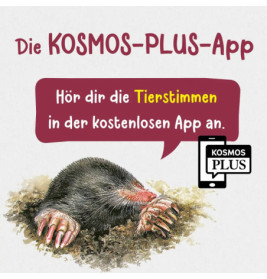 Kindernaturführer Was lebt im Garten?