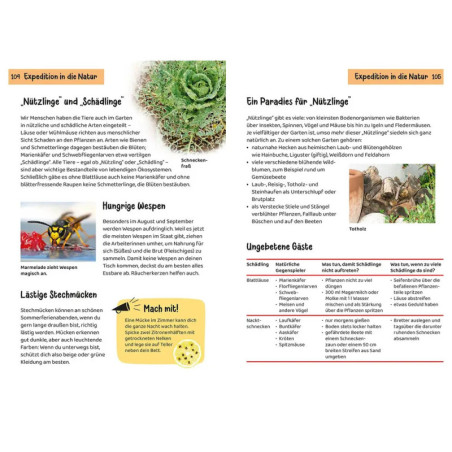 Kindernaturführer Was lebt im Garten?