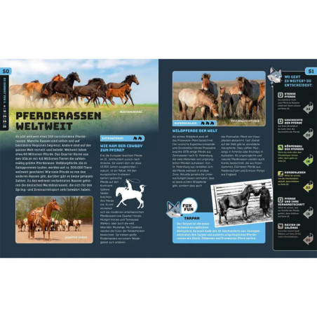 Kosmos SchlauFUX Pferde