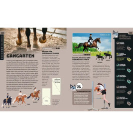 Kosmos SchlauFUX Pferde